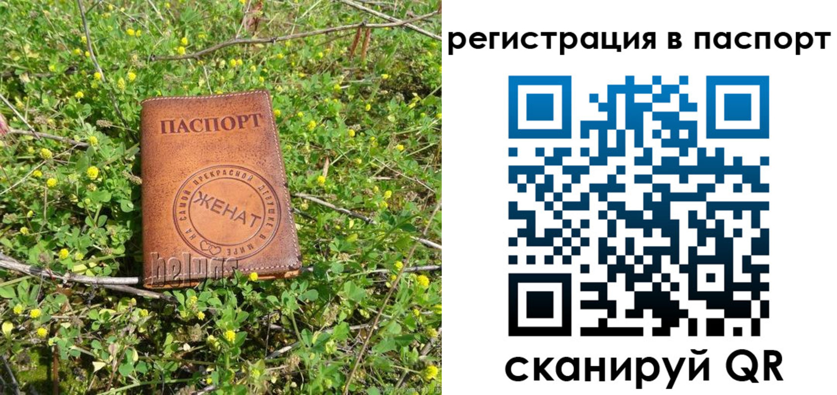 прописка законно в Гусь-Хрустальном